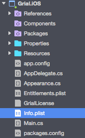 iOS info.plist